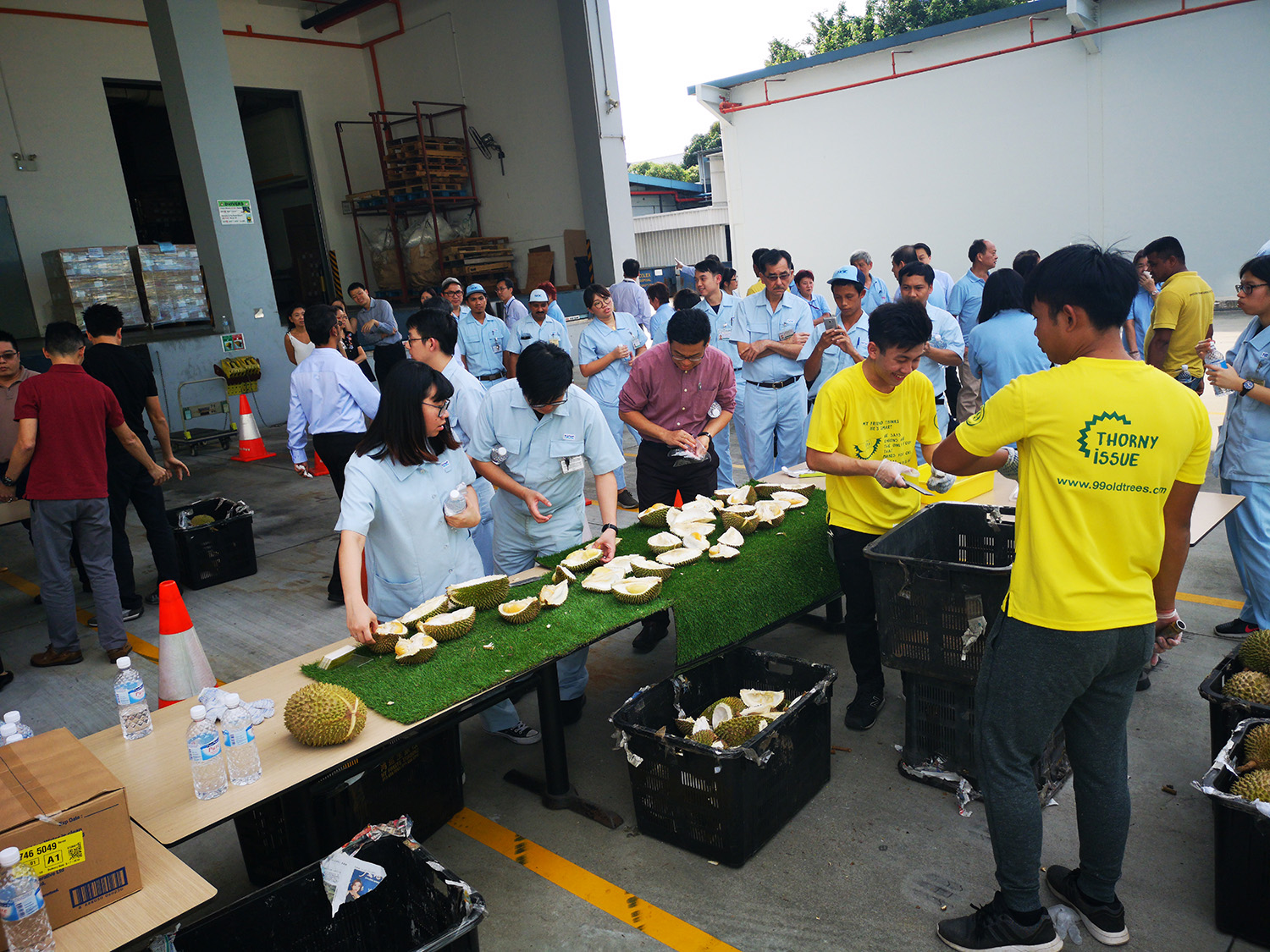 Corporate Durian Party